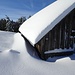Der Schnee reicht bis zum Dach