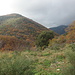 Giro Monte Acuto: Valle Iba