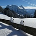 drei schneebehangene Schwieren (die Schneehöhe lässt sich hier am Zaun gut abschätzen) - vor den drei bekannten Schwyzern