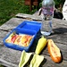 Typisches Picknick bei unseren Touren in Ungarn. Nach dem jeweils ausgiebigen Frühstück ist das mehr als ausreichend.