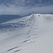 Gipfelhang Kamor, super Pulver, erste Spur heute