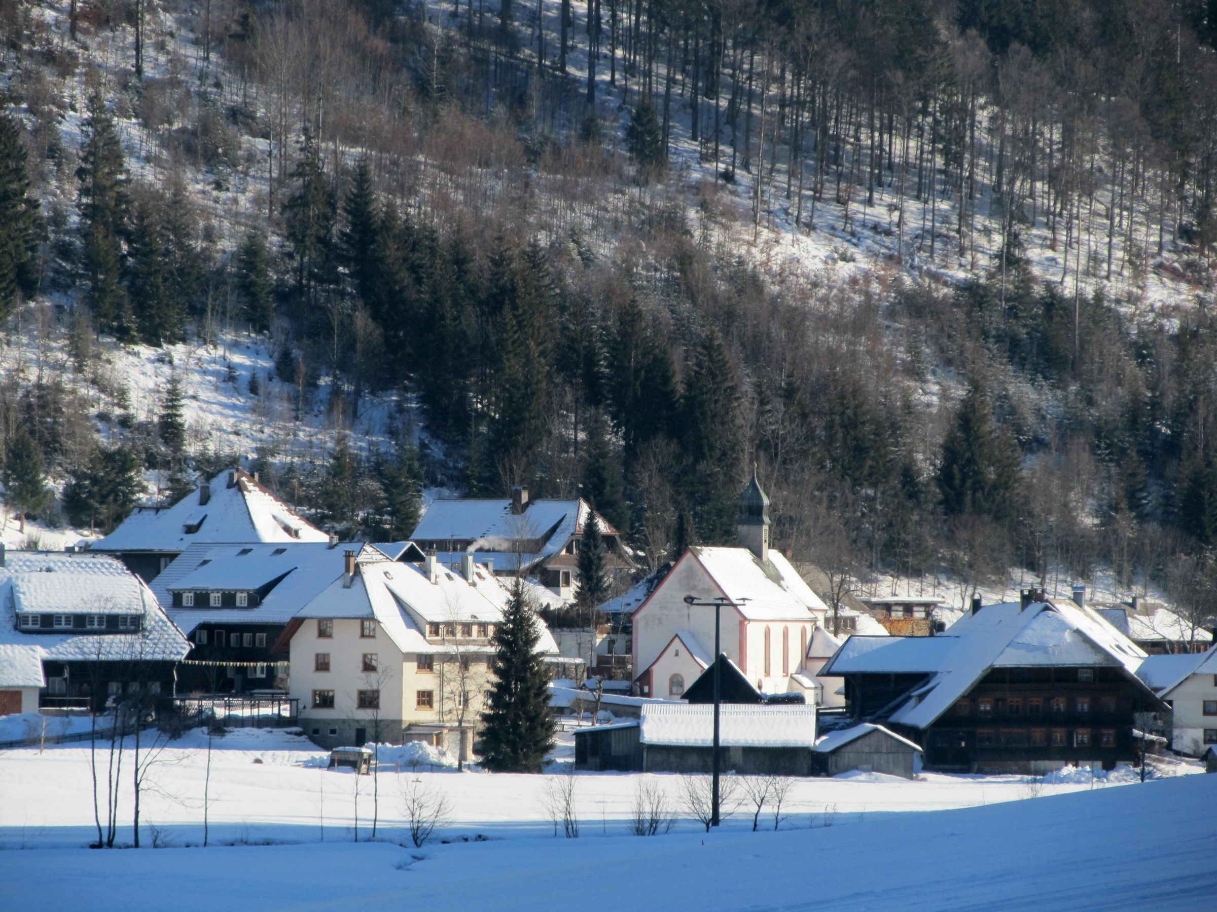 MenzenschwandHinterdorf Fotos