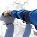 <b>Il tappetino di neve polverosa attutisce i passi e non rallenta la camminata.</b>