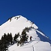 Gipfelbereich des Tierbergs mit abgegangenen Schneebrettern