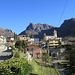 Puria