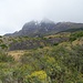 Bei Nieselregen traten wir den Anstieg an. Die Torres del Paine sind noch in Regenwolken eingehüllt.