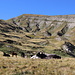 Im Abstieg vom Monte Gorzano - Rückblick über einge Rinder und die zerfurchte Landschaft des Valle delle Cento Fonti.