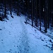 Bis zu einer Höhe von 800 m wechselten sich noch verschneite ...