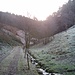 Entlang des rauschenden Bachs geht es taleinwärts zum "Einstieg" in den Wanderpfad.