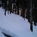 Der Schnee wird mehr - und die blaue Raute begleitet einen weiter.