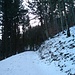 Ab 800 m hatte es eine geschlossene Schneedecke, noch einmal 50 hm weiter lohnte es sich dann die Schneeschuhe anzulegen.