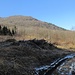Dopo un breve ravano incrocio la strada per San Michele e la forestale che mi aspettavo di trovare. Quasi subito l'abbandono per puntare la pineta su traccia secondaria, da cui su dorsale giungerò sotto al traliccio visibile sullo sfondo.