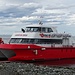 Mit dem Katamaran geht es zurück nach Punta Arenas, wo wir unterwegs noch Seelöwen und Wale beobachten konnten.