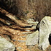 Wanderweg zur Kapelle Rota
