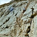 Eine von mehreren Leitern im Nordwandsteig