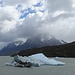 Eisberge im Lago Grey