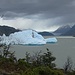 Lago Grey - immer wieder schaffen es ganze Eisblöcke vom Gletscher über den See.