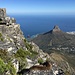 tief unten der Lions Head; im Vordergrund nehmen zwei Dassie's ein Sonnenbad