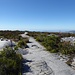 schöner Wanderweg zum höchsten Punkt