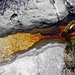 das ist kein Schmutzwasser, sondern natürlich gefärbtes Wasser