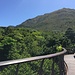 im Botanischen Garten Kirstenbosch; hier der wunderschön angelegte "Tree Canopy Walkway"