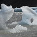 Eisskulpturen im See