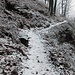 Il breve tratto stretto e franoso sul sentiero Passo del Tedesco-Ganna in cui occorre fare la dovuta attenzione, pena una rovinosa caduta di 5 metri sull'asfalto sottostante.