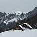 Alp Gigen<br />Wunderschöner und romantischer Aufstieg in einer traumhaft tief verschneiten Landschaft, so macht es Spass auch wenn die Sonne sich rar machte