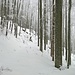 Die letzten 50 bis 100 hm wird der Schnee höher, der Weg ungespurter und die Schneeschuhe können richtig zum Einsatz kommen.
