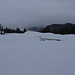 Tiefblick, hinunter in die Walschneise bei Eugst.