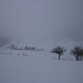 Nebel und Schneefall herrschte während der ganzen Tour. Schon beim Start beim Passe Ober Hauenstein (731m) konnte ich nicht viel weiter sehen als zum Hof Helfenberg 