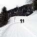 La strada Campo - Alpe Pradasca, sempre battuta dal gatto delle nevi e dalle motoslitte