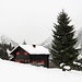 ..Graziosa baita in perfetto stile alpino: legno, neve,abeti, montagne e infissi rossi.