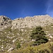 unterwegs in der schönen Sierra de Guadarrama