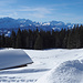 Winterszenerie mit westlichen Berner Alpen