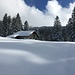Petite Charbonnière.