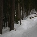 Vom P.1332m konnte ich bis zur Waldlichtung auf etwa 1400m bequem auf der Schneeschuhspur durch den Wald aufsteigen.<br /><br />Dort rastete ich nochmals kurz und als ich weiter lief, begann das Ärgernis dicker Stollenbildung unter den Skifellen wegen dem klebrig-feuchten Schnee!