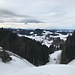 auf Freudigenegg öffnet sich der Blick bis zur Blüemlisalp