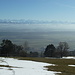 Aussicht gegen die Alpen (vom Oensinger Roggen aus gesehen)