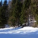 Jetzt mit Schneeschuhen: Anstieg von Südosten auf den Schmickerstein