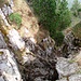Entschärfte Stelle unter dem Gipfelgrat der Rigi Hochflue - heute etwas feucht