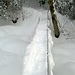 Über eine Brücke gelangt man ins Naturschutzgebiet Rotmoos.