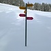 … zeigen auch die Wanderweg- sowie die Schneeschuhwegweiser (unten, in pink) eindeutig die Richtung an.