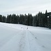 Der Weg ist nicht zu verfehlen, neben üppigen Markierungen ...