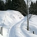 … führt die Tour nur flach ansteigend durch einen schönen Wechsel aus Wald und Offenland.