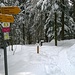 Blick zurück: Im Naturschutzgebiet Rotmoos führt der gut gespurte und markierte Weg bei zwei Wildkameras weiter in Richtung Rotmoos/Ober Gemmi/Schangnau, während der weitere Anstieg zur Honegg nach Norden abzweigt.