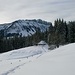 Blick zurück nach dem Verlassen des Waldstücks, dahinter die Sieben Hengste.