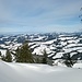 Blick vom Bergrücken der Honegg in Richtung Mittelland.