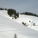 Blick zurück auf einen Teil Hangtraverse unterhalb des Waldrands des Aufstiegswegs.