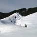 Blick zurück: Rechts oben bei der kleinen Hütte mündet der Aufstiegsweg auf den bewaldeten Bergrücken der Honegg, links im Bild die Abstiegsspur.